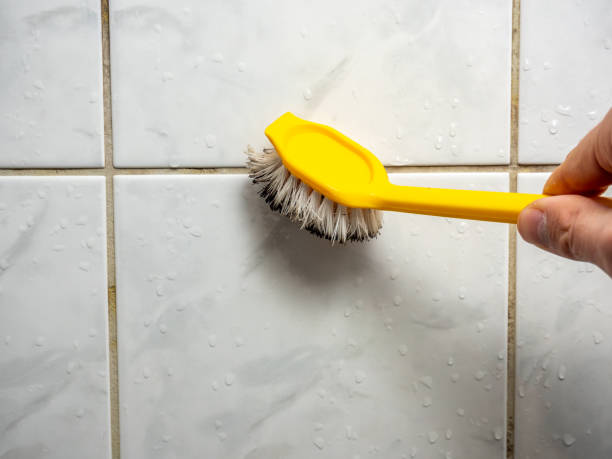 Best Commercial Mold Remediation in Amelia, OH
